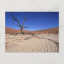 Suche nach toter baum poster Farbbild