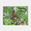 Recherche de sein maison deco Oiseau