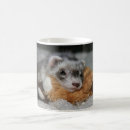 Suche nach mustelids tassen Frettchen