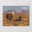 Suche nach lamas postkarten Bolivien