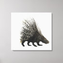 Suche nach stachelschweine poster Wild lebende tiere