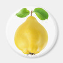 Suche nach obst magnete Früchte