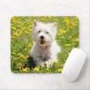 Recherche de dog tapis souris Canine