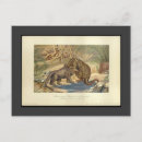 Recherche de iguanodon cartes postales Dinosaure