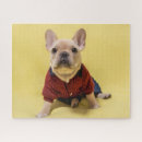 Recherche de frenchie puzzles Animal
