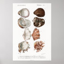 Suche nach buchillustrationen poster Alte buchillustration