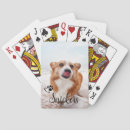 Recherche de chien jeux de cartes Dog