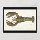 Suche nach hummer poster Drucken