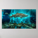 Recherche de requin baleine posters Requins