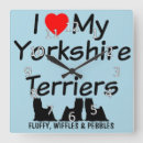 Recherche de yorkshire horloges Terrier