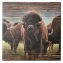 Recherche de buffle carreaux Bison