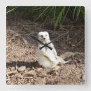 Suche nach kamera wanduhren Tier