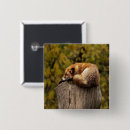 Suche nach roter fuchs buttons Natur