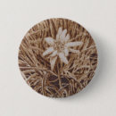 Suche nach alpen accessoires Blume