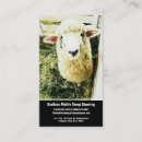 Recherche de brebis cartes visite Cisaillement