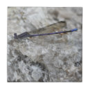 Suche nach quarz fliesen Lila