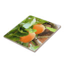 Suche nach plume fliesen Pflaume