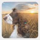 Suche nach englischer springer spaniel aufkleber Haustier