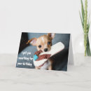 Suche nach niedlicher chihuahua karten Welpe