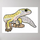 Suche nach leopard gecko poster Leopardengecko