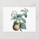 Recherche de poche cartes postales Vert