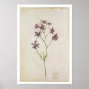 Recherche de moyne posters Jacques