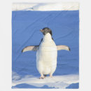 Suche nach penguin decken Vogel