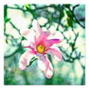 Recherche de tiffany posters Turquoise