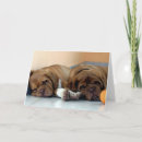 Recherche de dogue de bordeaux vœux cartes Chien