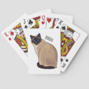 Recherche de yeux bleus jeux de cartes Siamois