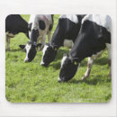 Suche nach milchkuh mousepads Landwirtschaft