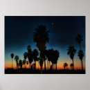 Recherche de color photography art Usa