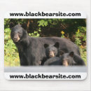 Recherche de ours noirs tapis souris Chasse