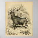 Suche nach rotwild poster Jagd