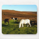 Recherche de poney tapis souris Paysage
