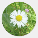 Suche nach miniaturen aufkleber Blumenreich