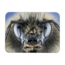 Recherche de composition rectangulaires magnets Vue en gros plan