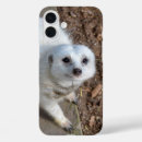Recherche de rare iphone coques Faune