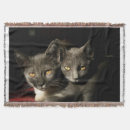Suche nach katzen decken Niedlich