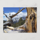 Recherche de charleston cartes postales Photographie