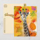 Suche nach niedliche giraffe postkarten Wildtier