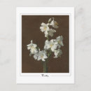 Recherche de latour cartes postales Henri fantin latour