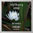 Suche nach emerson zitat poster Natur