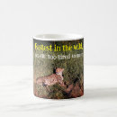 Recherche de photo guépard tasses Pour tous