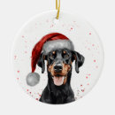 Suche nach dobermann schmuck Dogs