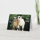 Recherche de humour religieux vœux cartes Adoption