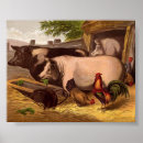 Suche nach pigs poster Farm