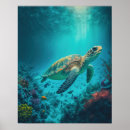 Suche nach sea life poster Marine