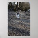 Suche nach capo poster Strand