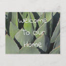 Recherche de agaves cartes postales Pour tous